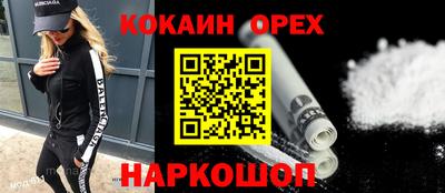 соль ск Новозыбков