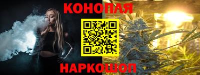 соль ск Новозыбков