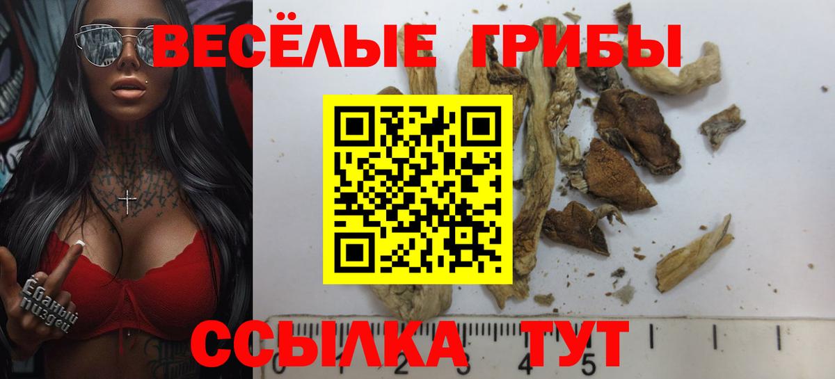 Галлюциногенные грибы Psilocybine cubensis  Галлюциногенные грибы MAGIC MUSHROOMS  Шадринск  Вход с VPN 