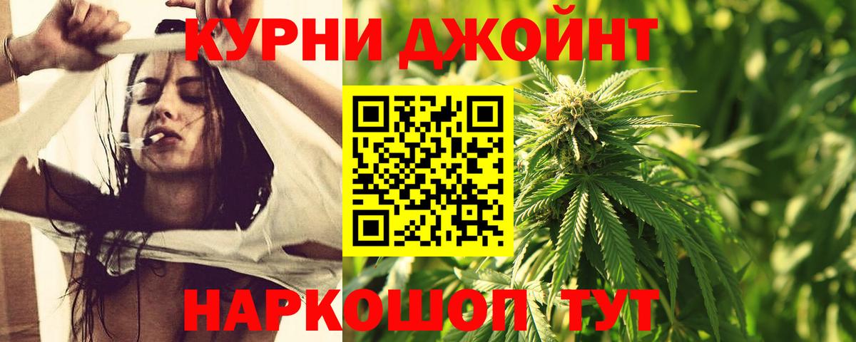 Конопля MAZAR Шадринск